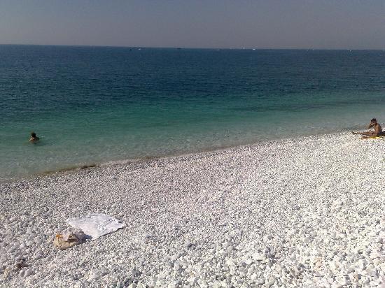 Il Pescatore Marina Di Pisa Esterno foto